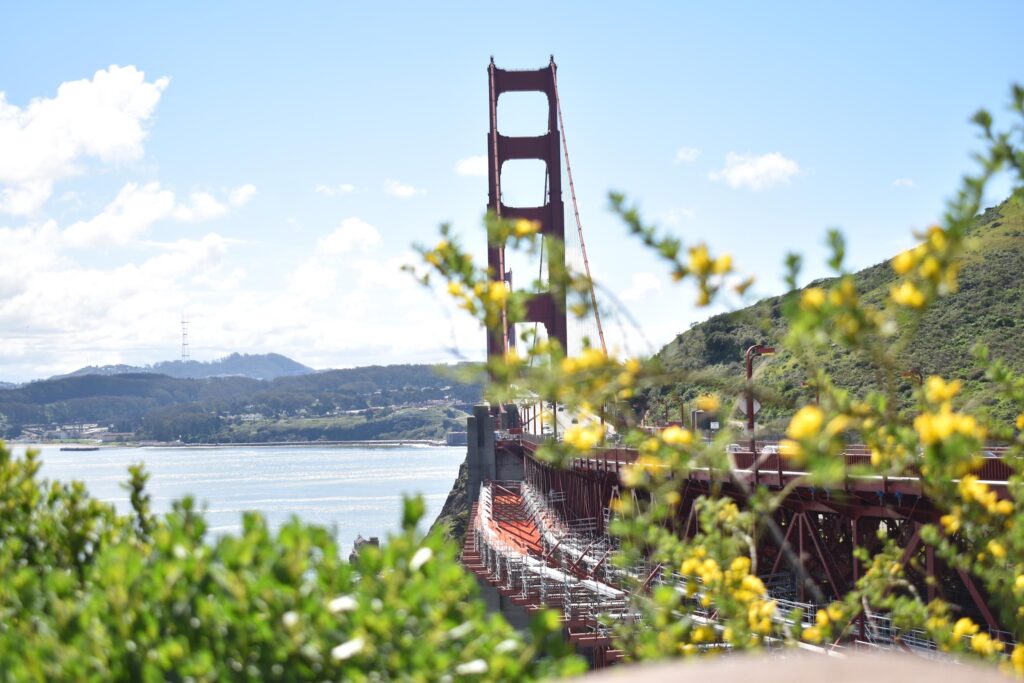DSC_0751